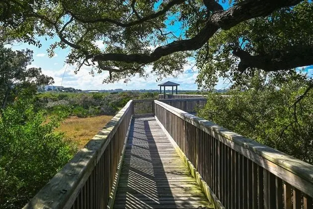 Ev (Pelicans Point)