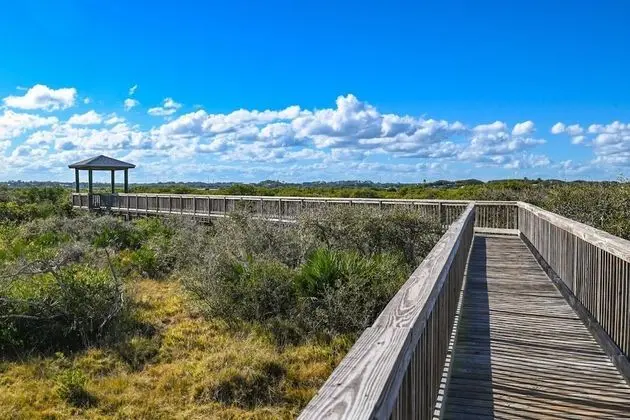 Ev (Pelicans Point)