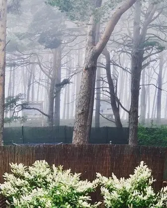 Panoramic Ev, 2 Yatak Odası, Balkon, Kısmi Deniz Manzaralı