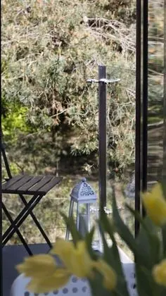 Standard Stüdyo, Küçük Mutfak, Bahçe Manzaralı