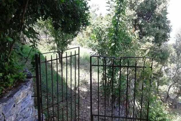 Stüdyo (Minerva)