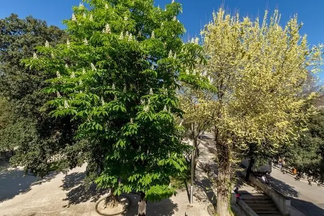 Deluxe Double Room (Extra Bed)-201