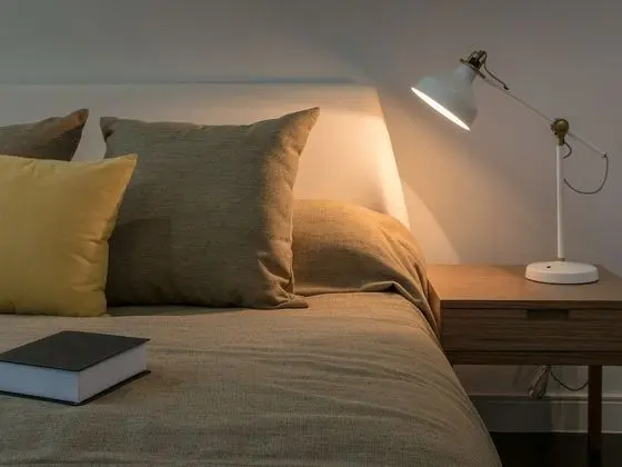Luxury Tek Büyük veya İki Ayrı Yataklı Oda, Banyolu/Duşlu