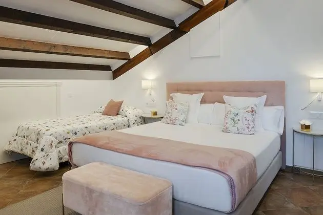 Premium Tek Büyük Yataklı Oda, Banyolu/Duşlu (Supletoria)