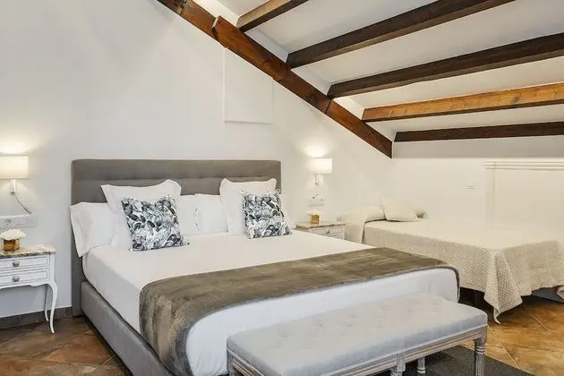 Premium Tek Büyük Yataklı Oda, Banyolu/Duşlu (Supletoria)