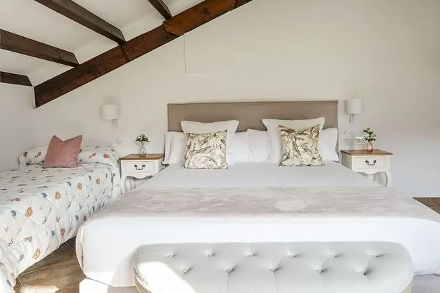 Premium Tek Büyük Yataklı Oda, Banyolu/Duşlu (Supletoria)