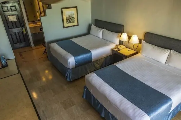 Deluxe Tek Büyük Yataklı Oda, Havuz Manzaralı