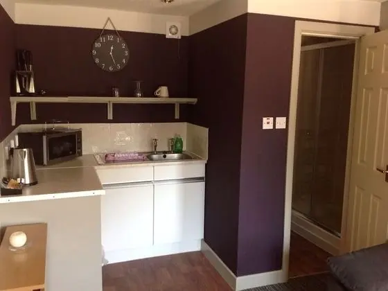 Standard Tek Büyük Yataklı Oda, Banyolu/Duşlu, Bahçe Manzaralı