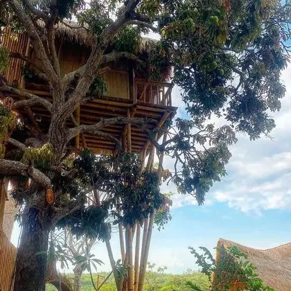 Panoramic Ağaç Ev