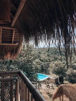 Panoramic Ağaç Ev