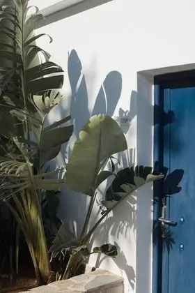 Bungalov, 2 Yatak Odası, Deniz Manzaralı