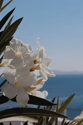 Bungalov, 2 Yatak Odası, Deniz Manzaralı