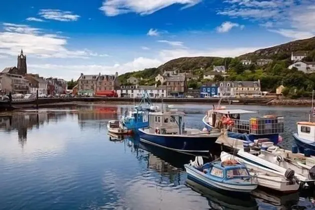 Apart Daire, 1 En Büyük (King) Boy Yatak