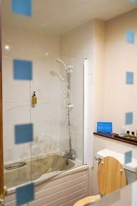 Standard Tek Büyük Yataklı Oda, 1 Çift Kişilik Yatak