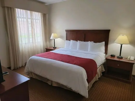 King Suite with Fireplace