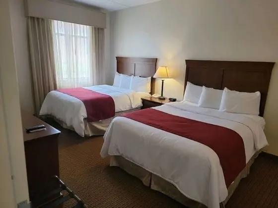Queen Suite (2 Queen Beds)