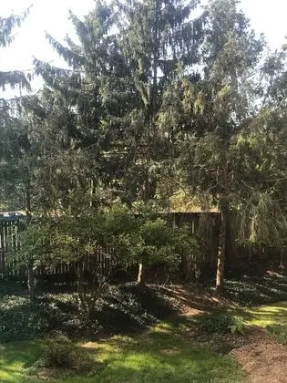Traditional Oda, 1 Yatak Odası, Sigara İçilmez, Özel Banyo
