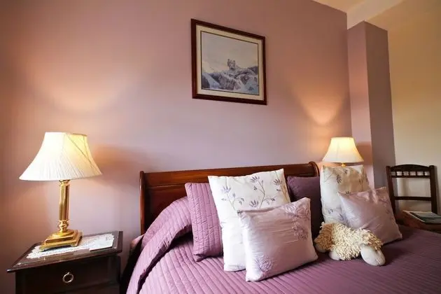 Deluxe King Room (Cedar)