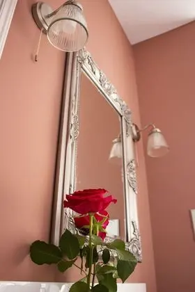Superior Tek Büyük Yataklı Oda, 1 Çift Kişilik Yatak