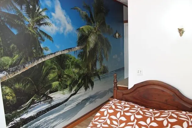 Economy Tek Büyük Yataklı Oda (Shared Shower)