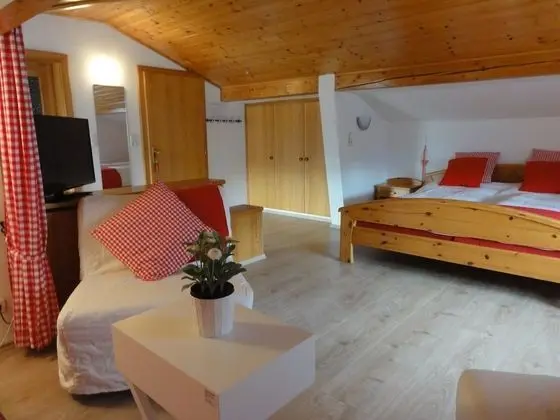 Basic Çatı Katı Süiti (Penthouse), 1 Yatak Odası, Küçük Mutfak, Göl Manzaralı