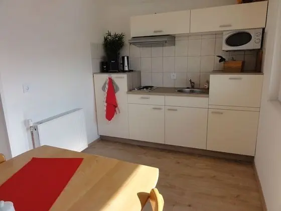 Basic Çatı Katı Süiti (Penthouse), 1 Yatak Odası, Küçük Mutfak, Göl Manzaralı