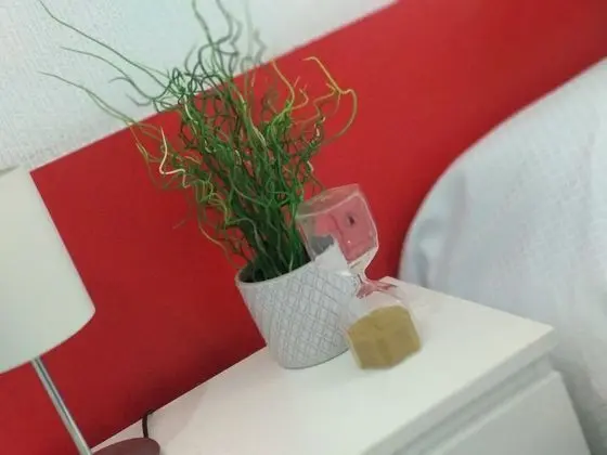 Tek Büyük veya İki Ayrı Yataklı Oda, Ortak Banyo