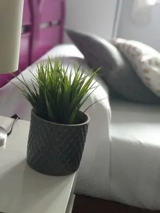 Tek Kişilik Oda, Ortak Banyo