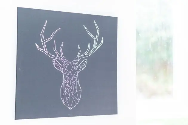 Tek Büyük veya İki Ayrı Yataklı Oda (B)