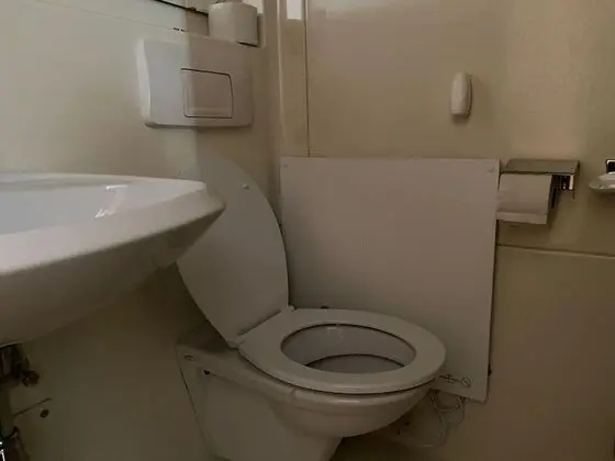 Tek Büyük Yataklı Oda (Shower In Room, Shared Toilet)