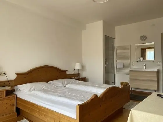 Tek Büyük Yataklı Oda (Shower in Room,Shared Toilet,Balcony)