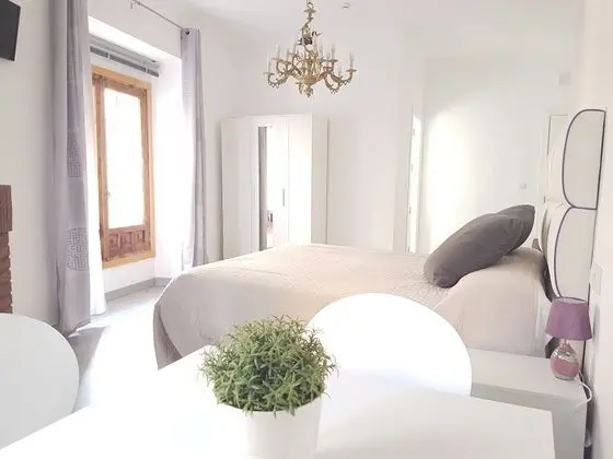 Superior Tek Büyük Yataklı Oda