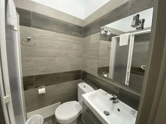 Deluxe Tek Büyük veya İki Ayrı Yataklı Oda