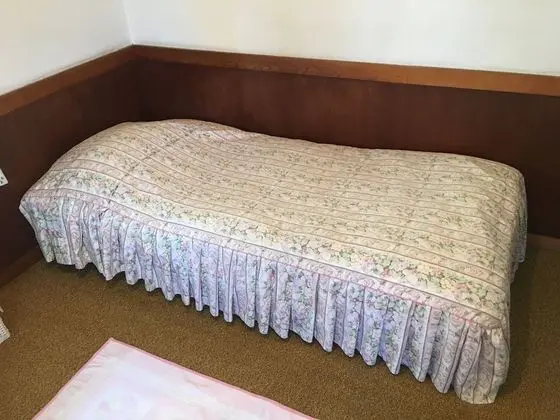 İki Ayrı Yataklı Oda, Sigara İçilmez, Ortak Banyo (with Extra Bed)