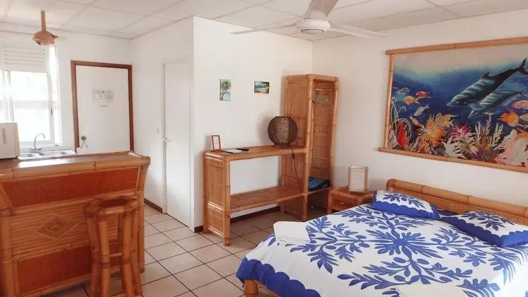 Studio-Kitchenette-Maiao-Vue sur Jardin