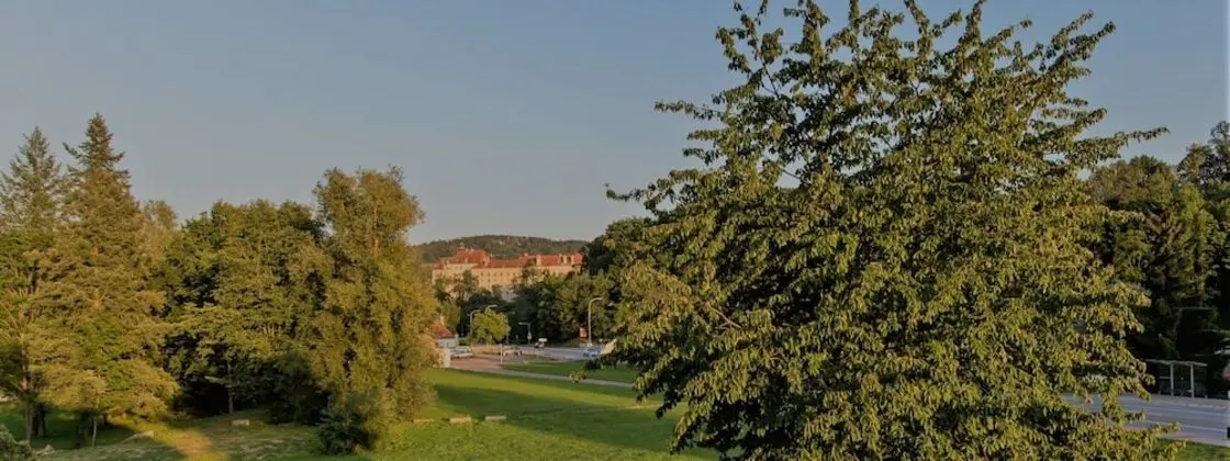 Comfort Tek Büyük veya İki Ayrı Yataklı Oda