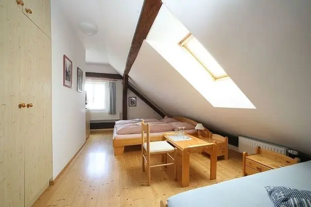 Superior Tek Büyük Yataklı Oda