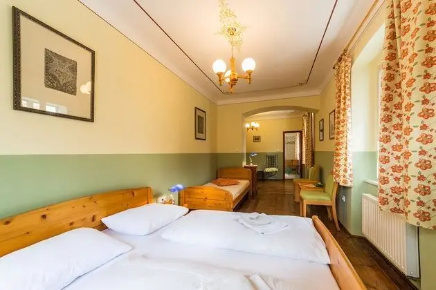 Superior Tek Büyük Yataklı Oda