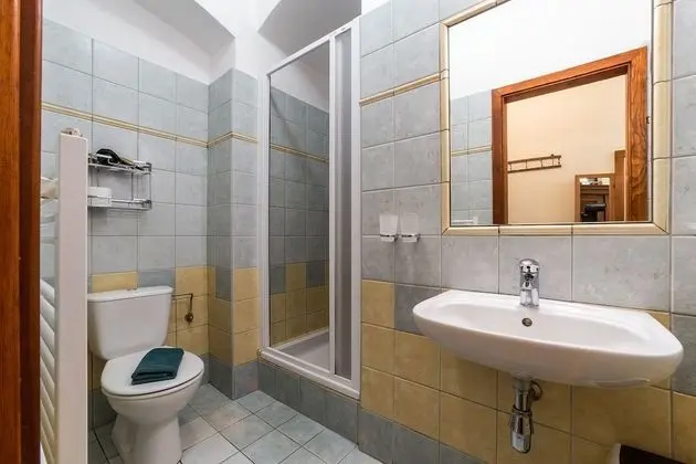 Superior Tek Büyük Yataklı Oda