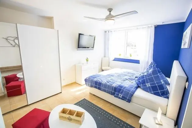 Basic Tek Büyük Yataklı Oda, Engellilere Uygun