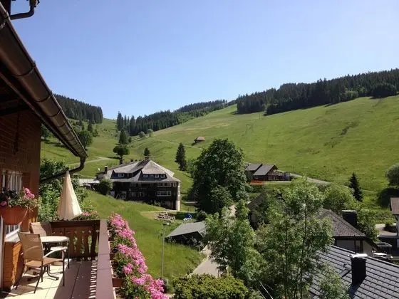 Tek Büyük Yataklı Oda, Balkon
