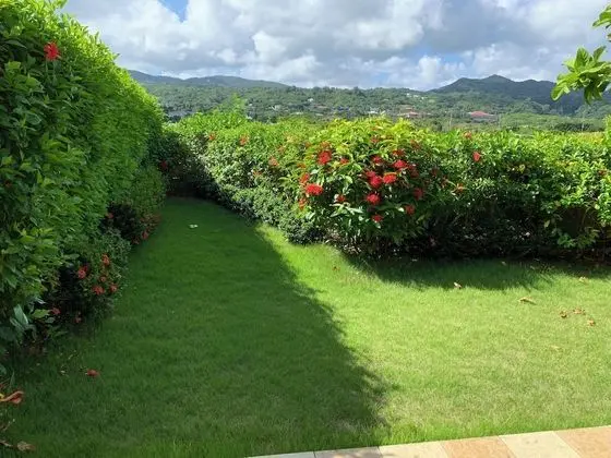 İki Ayrı Yataklı Oda, Sigara İçilmez (with Private Garden)