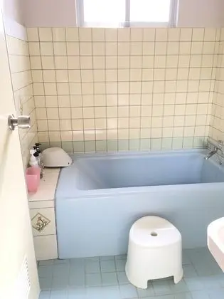 Ev