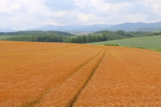 Üç Kişilik Oda, Ortak Banyo (A)