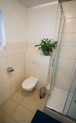 Basic Stüdyo