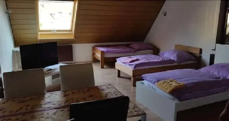Üç Kişilik Oda (with Shower)