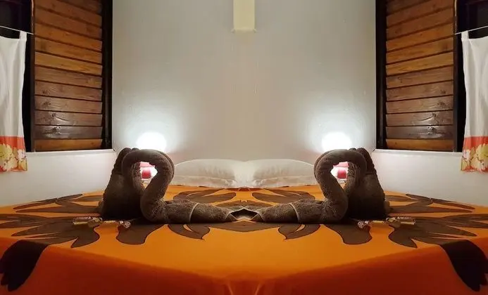Tek Büyük Yataklı Oda, Ortak Banyo, Bahçe Manzaralı (Tiare)