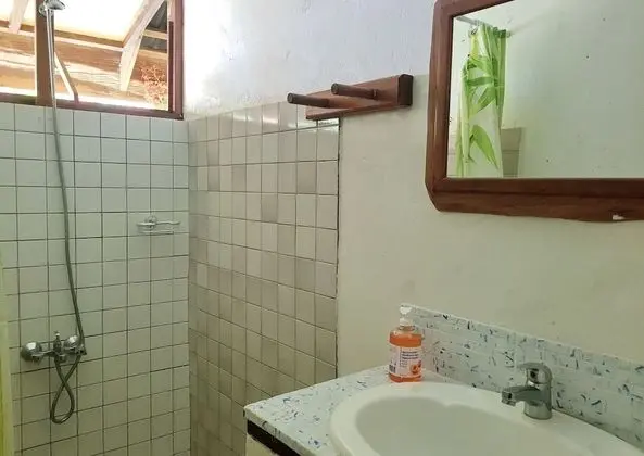Tek Büyük Yataklı Oda, Ortak Banyo, Bahçe Manzaralı (Tiare)