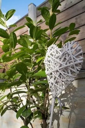 Design Süit, 2 Yatak Odası, Zemin Kat