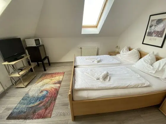 Basic Tek Büyük Yataklı Oda (Nr. 7)